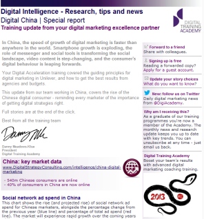 Digital Strategy data - Digital China February 2013