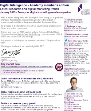 Digital Strategy data - Digital Intelligence January 2013